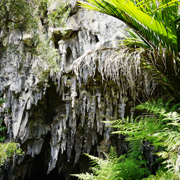 Stalactites at Rawhiti Cave, Golden Bay, New Zealand.