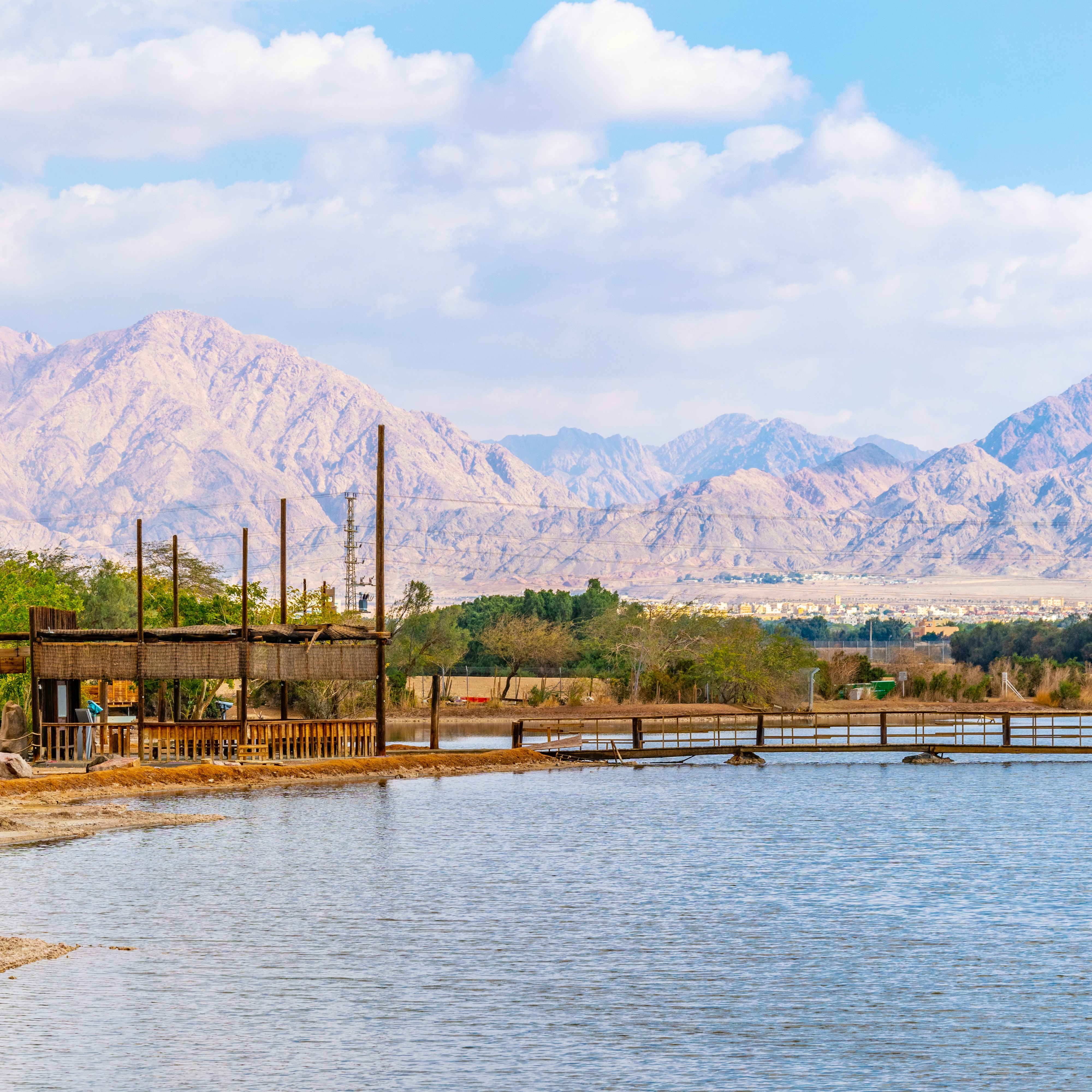 International Birding and Research Center in Eilat, Israel.