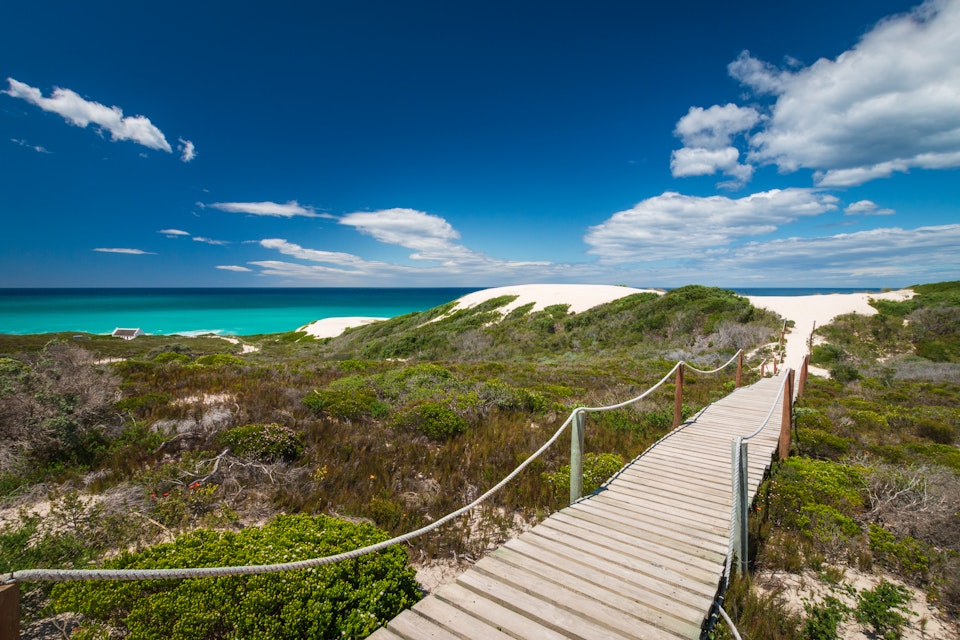Wooden footpath leading to the beach at De Hoop Nature Reserve in South Africa.