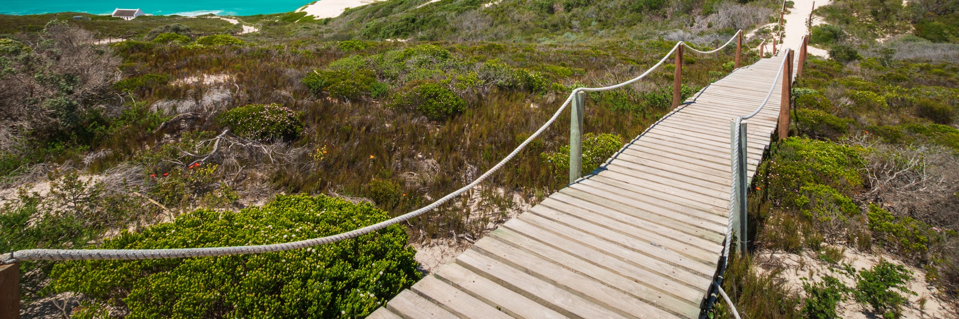 Wooden footpath leading to the beach at De Hoop Nature Reserve in South Africa.