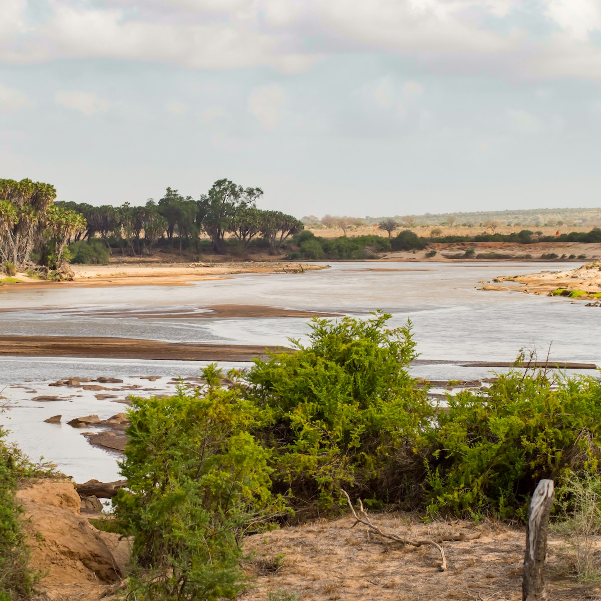 Galana River, Tsavo East National Park, Kenya.