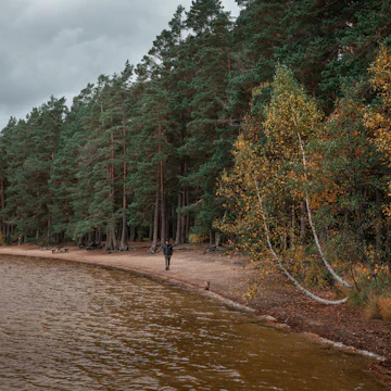 Tiveden National Park in Sweden.