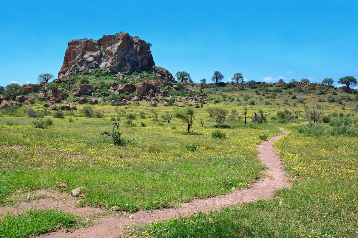 Landscape in Mapungubwe National Park, South Africa.