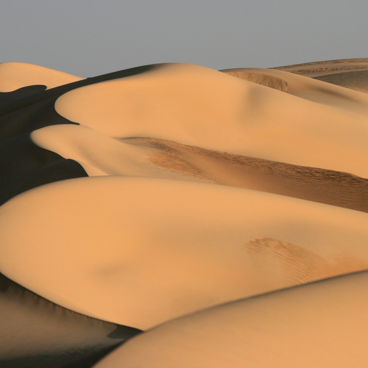 Dunes in the great sand sea in Egypt.