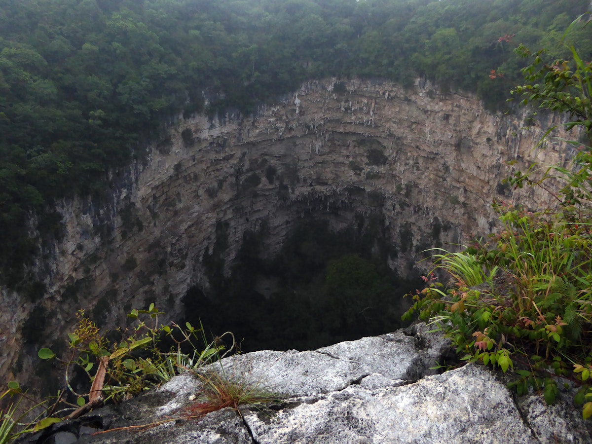 The Simas de las Cotorras, a huge limestone sinkhole in the middle of the rainforest of Chiapas, Mexico.