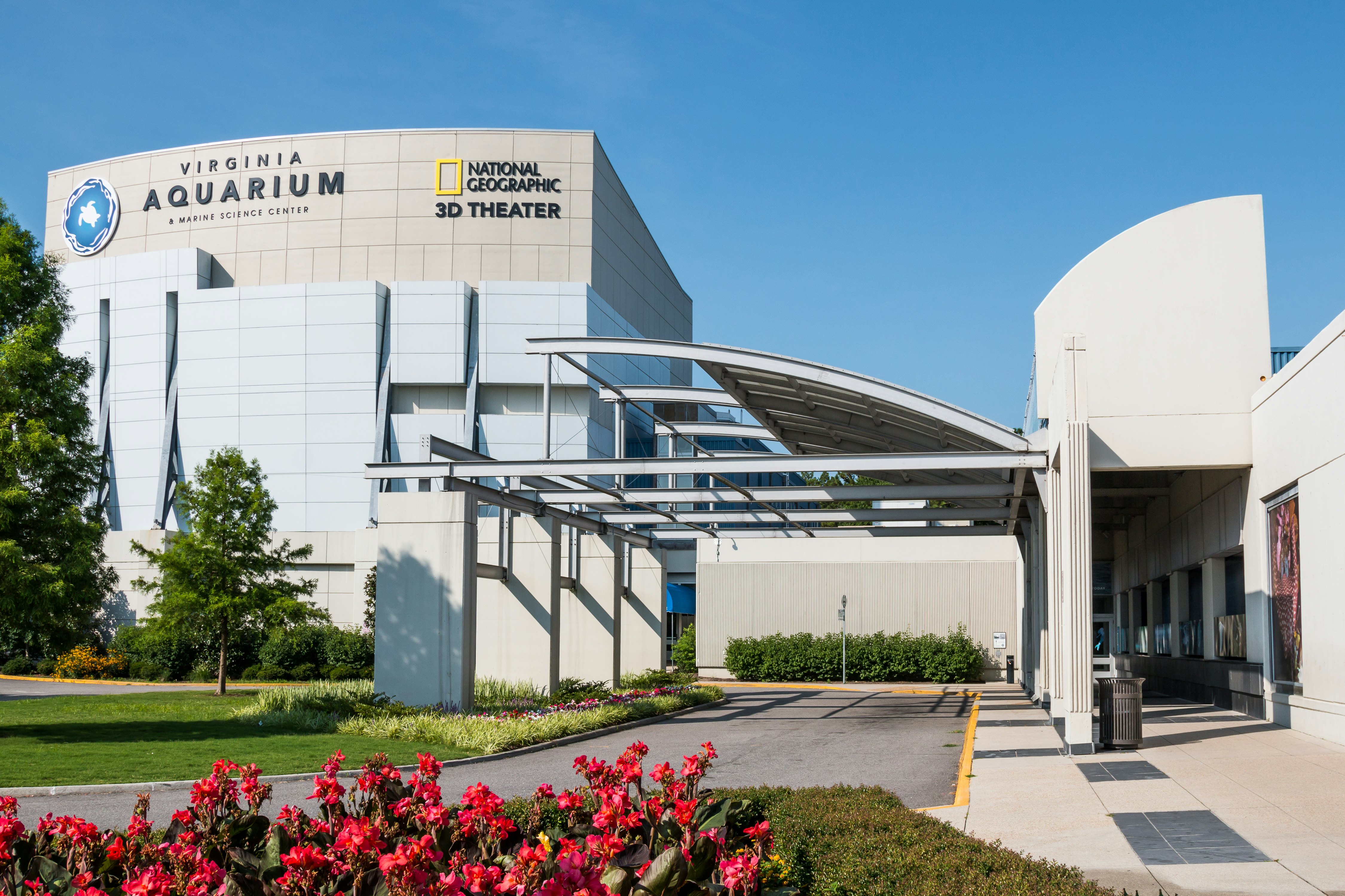 The Virginia Aquarium & Marine Science Center.