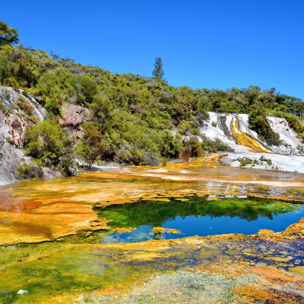 Orakei Korako geothermal park, New Zealand.