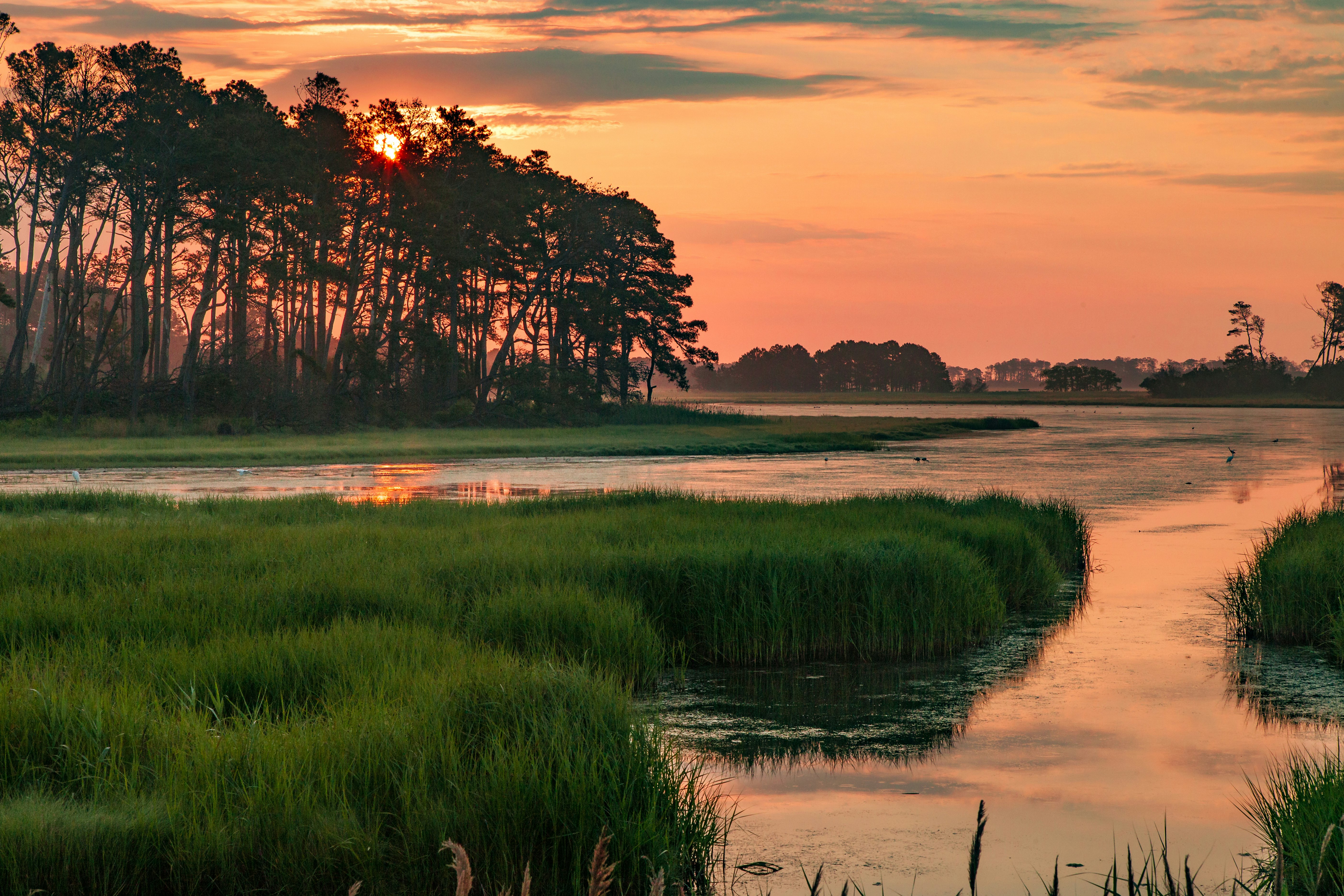 Sunset in the marshes of Chincoteague National Wildlife Refuge in Virginia.