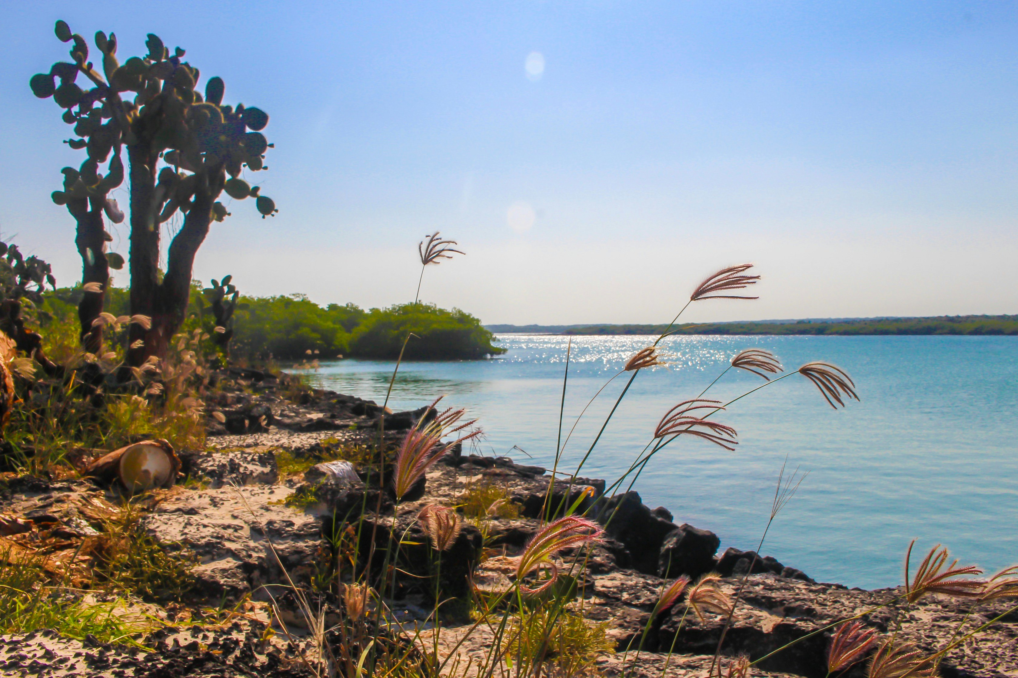 Playa Mansa, Galapagos Islands.