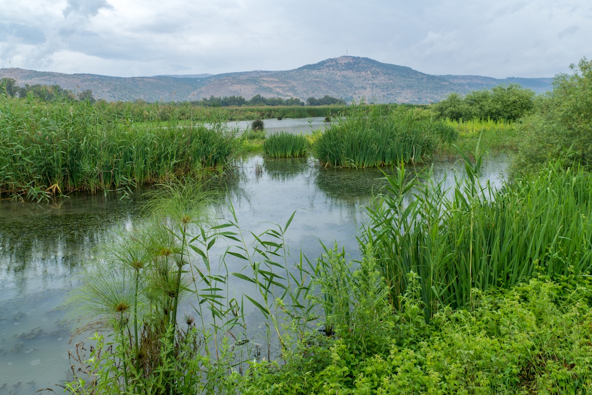 View of wetland and the Galilee mountains in the Hula Nature Reserve, northern Israel.