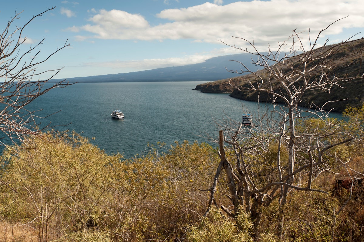 Boats in the lagoon, Tagus Cove, Isabela Island, Galapagos Islands, Ecuador.