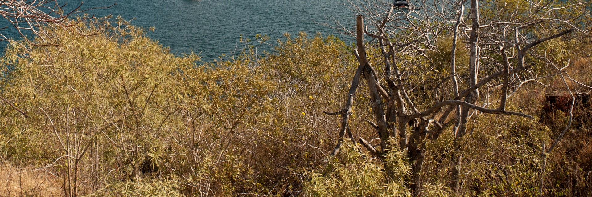Boats in the lagoon, Tagus Cove, Isabela Island, Galapagos Islands, Ecuador.