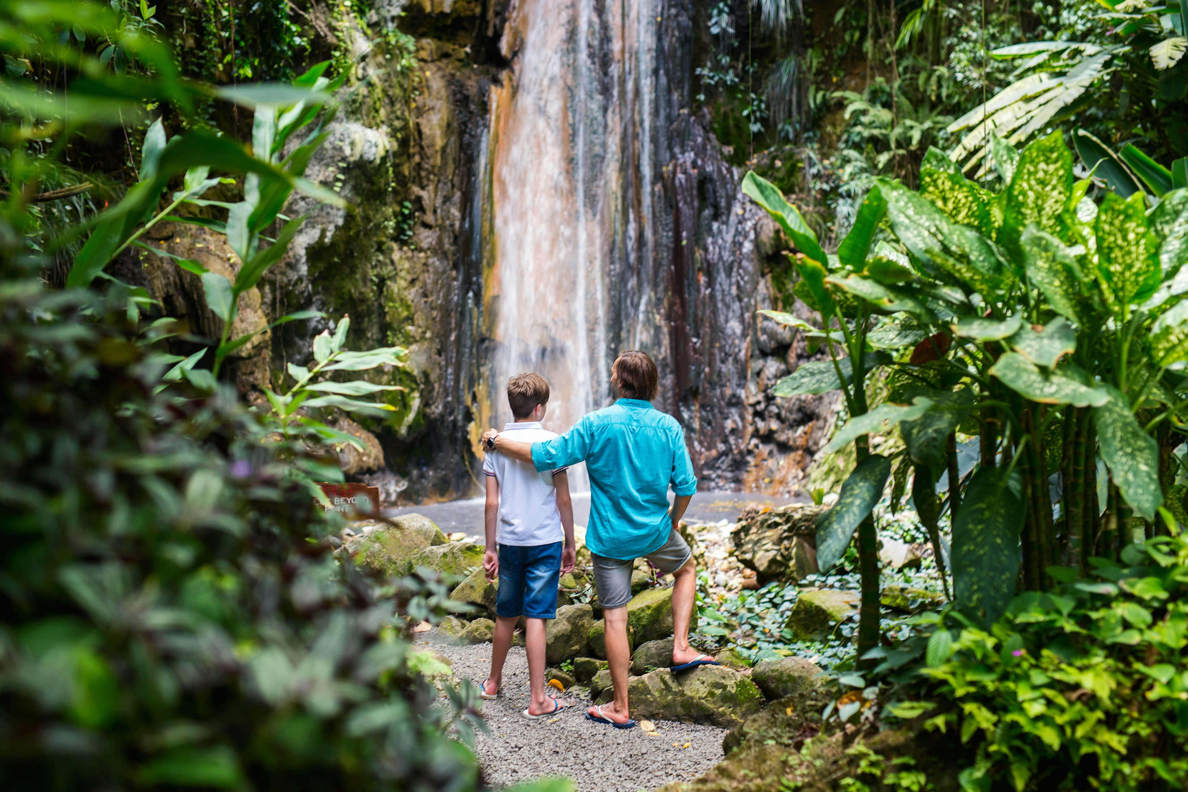 A father and son stand together gazing at a waterfall in a lush jungle location