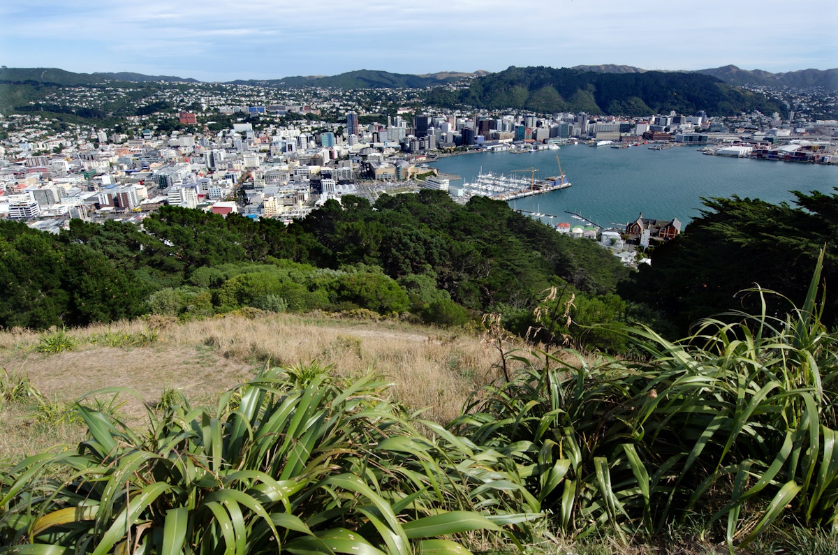 View of Wellington harbor from Mount Victoria lookout in Wellington, New Zealand.