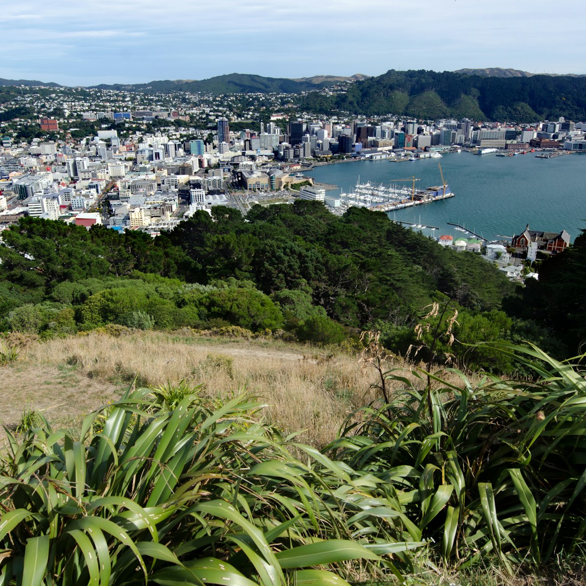 View of Wellington harbor from Mount Victoria lookout in Wellington, New Zealand.