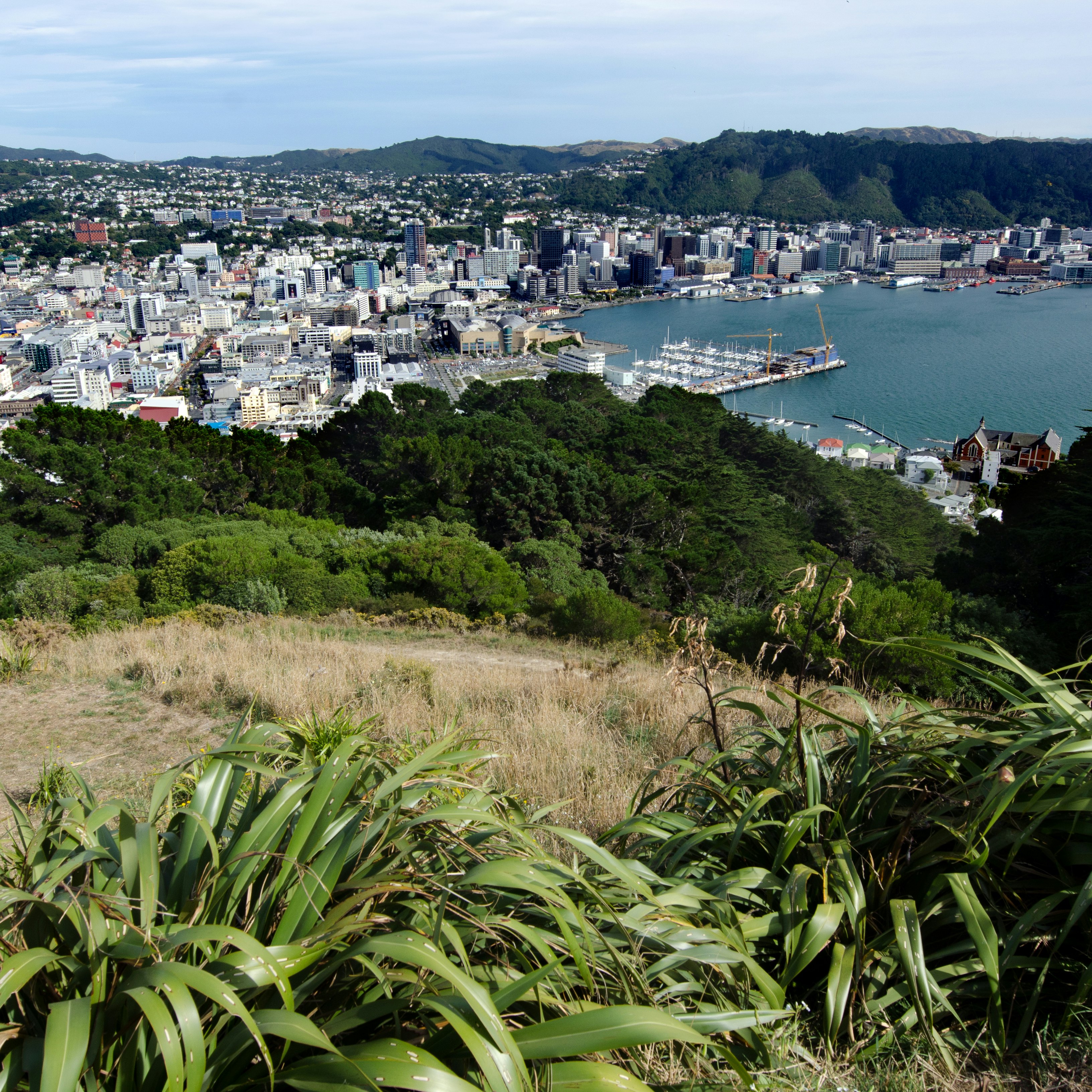 View of Wellington harbor from Mount Victoria lookout in Wellington, New Zealand.