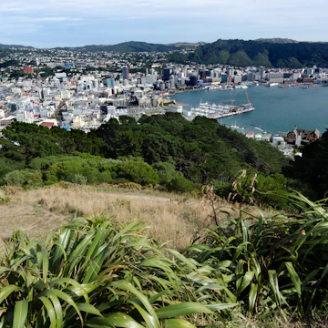 View of Wellington harbor from Mount Victoria lookout in Wellington, New Zealand.