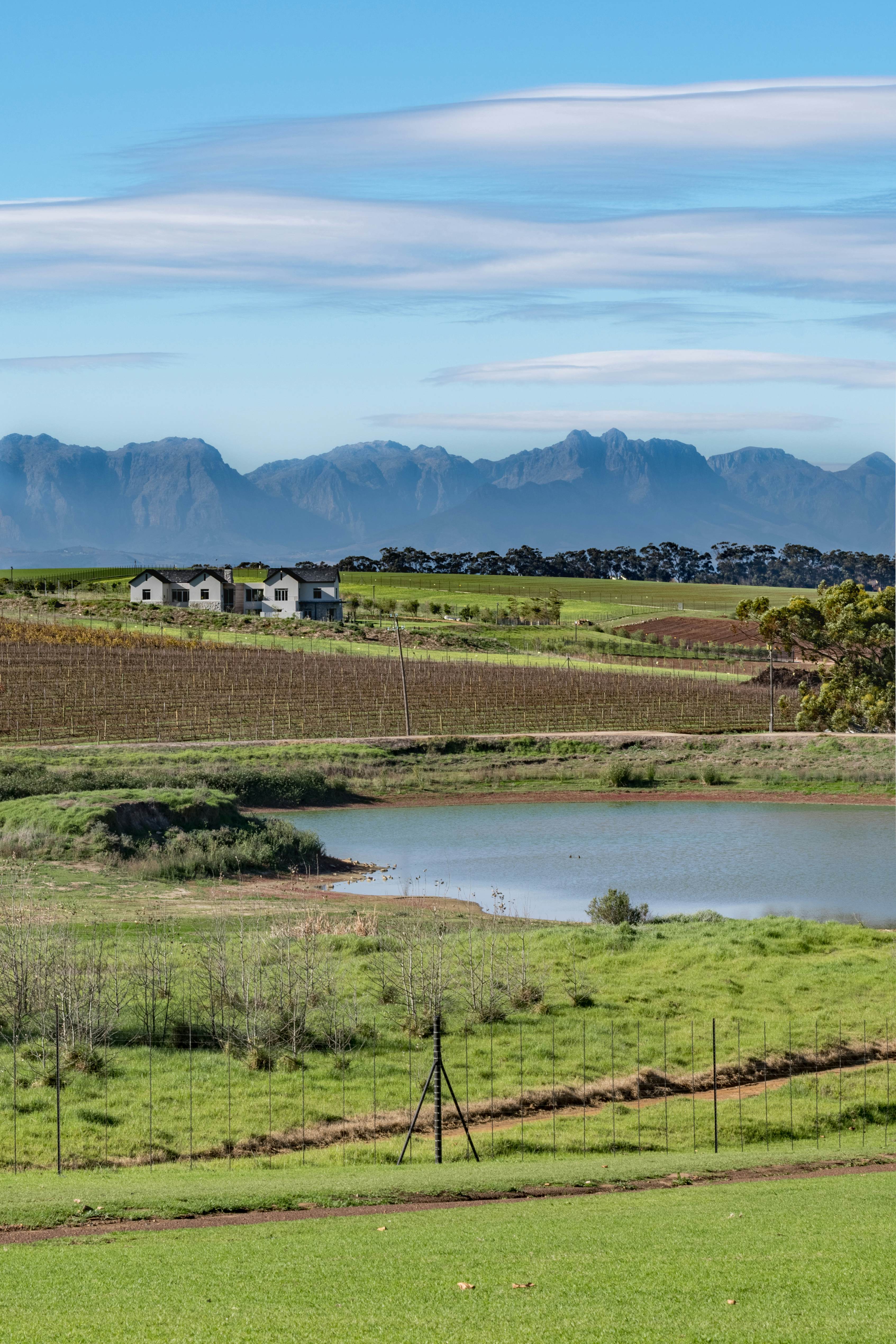 Landscape of Meerendal Wine Estate.