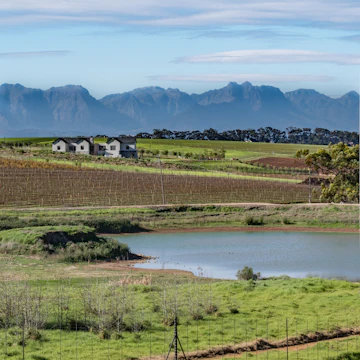 Landscape of Meerendal Wine Estate.
