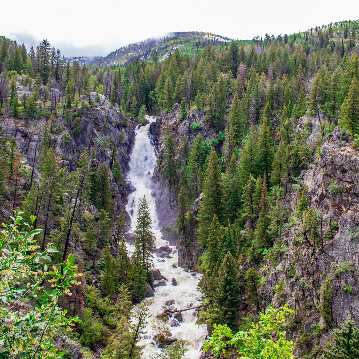 Fish Creek Falls. Waterfall near Steamboat Spring, Colorado.; Shutterstock ID 1444664363; your: Sloane Tucker; gl: 65050; netsuite: Online Editorial; full: POI
1444664363