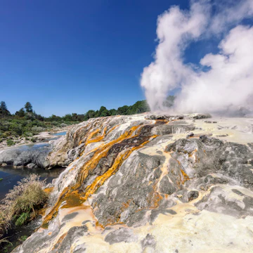 Pohutu Geyser in Te Puia, Rotorua, New Zealand.