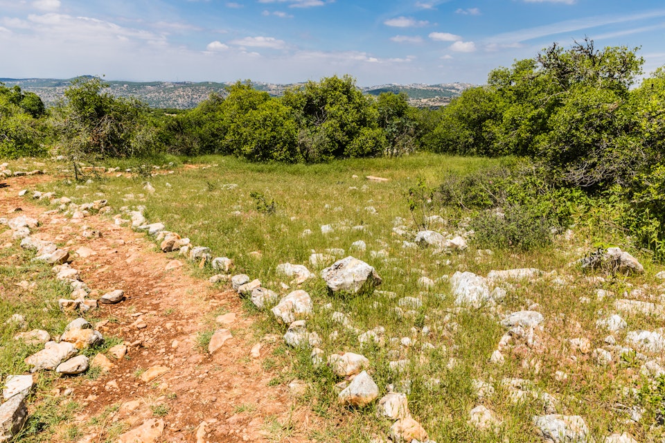 View from the Roe Deer Trail in The Ajloun Forest Reserve.
