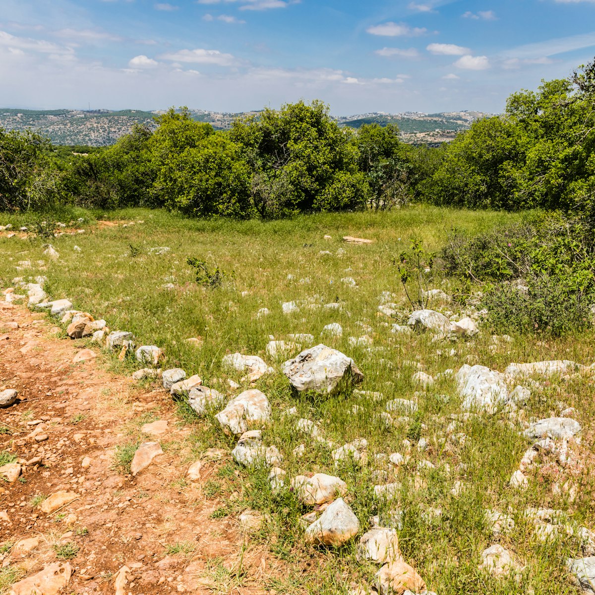 View from the Roe Deer Trail in The Ajloun Forest Reserve.