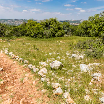 View from the Roe Deer Trail in The Ajloun Forest Reserve.