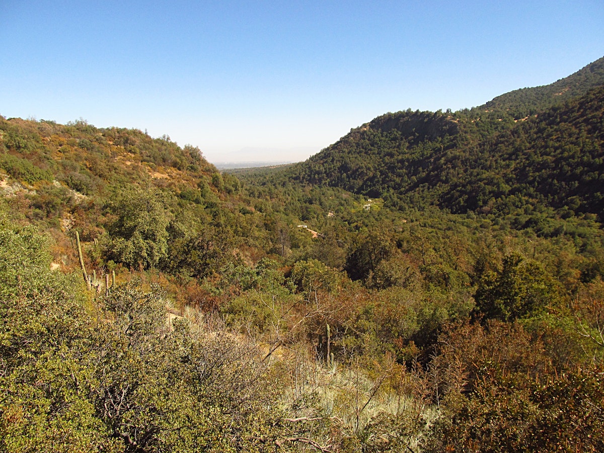 Forest, hills and mountains in summer in Río Clarillo national park in Chile.