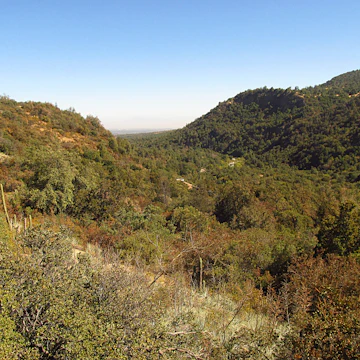 Forest, hills and mountains in summer in Río Clarillo national park in Chile.