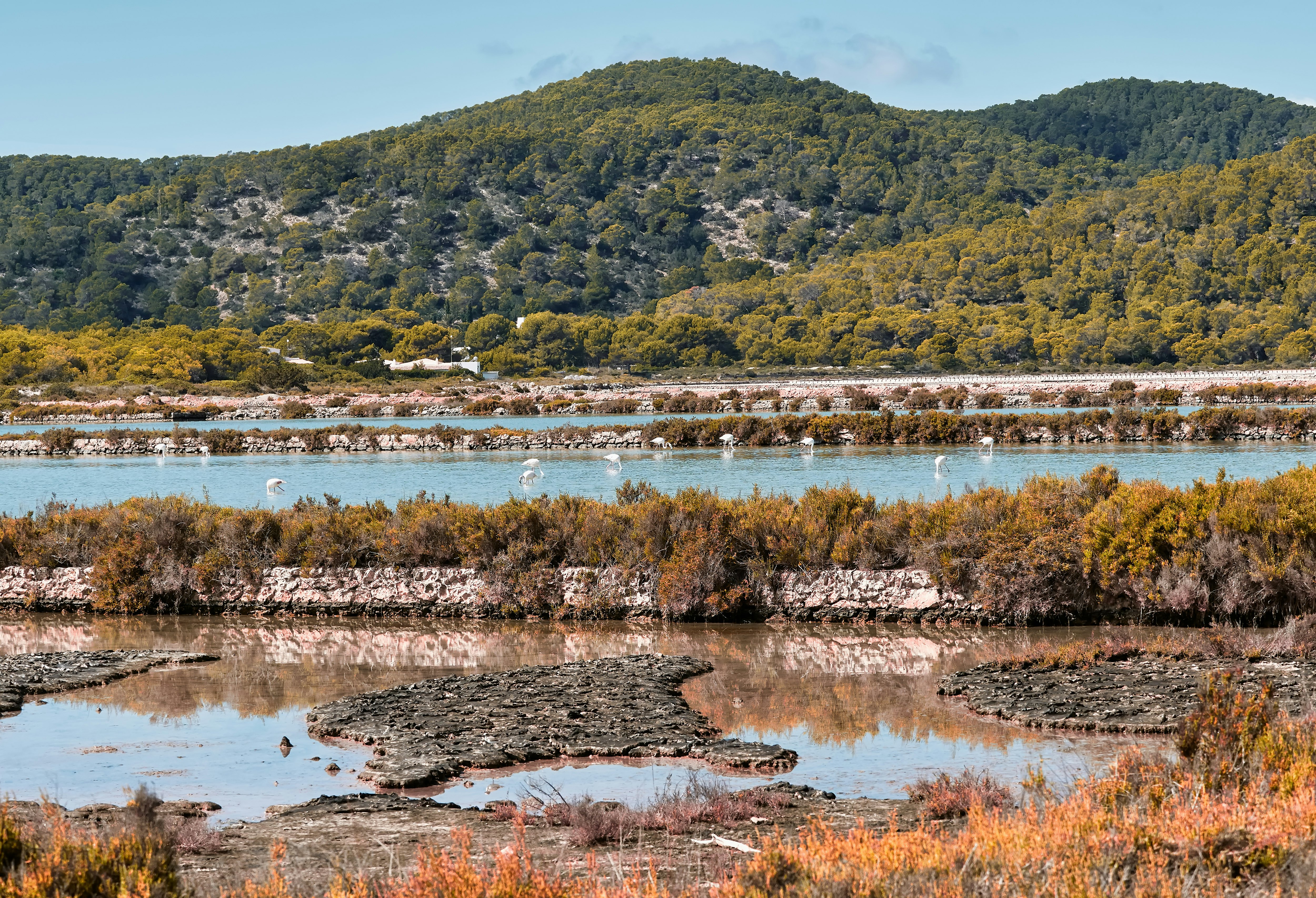 Ses Salines Natural Park in Ibiza, Spain.