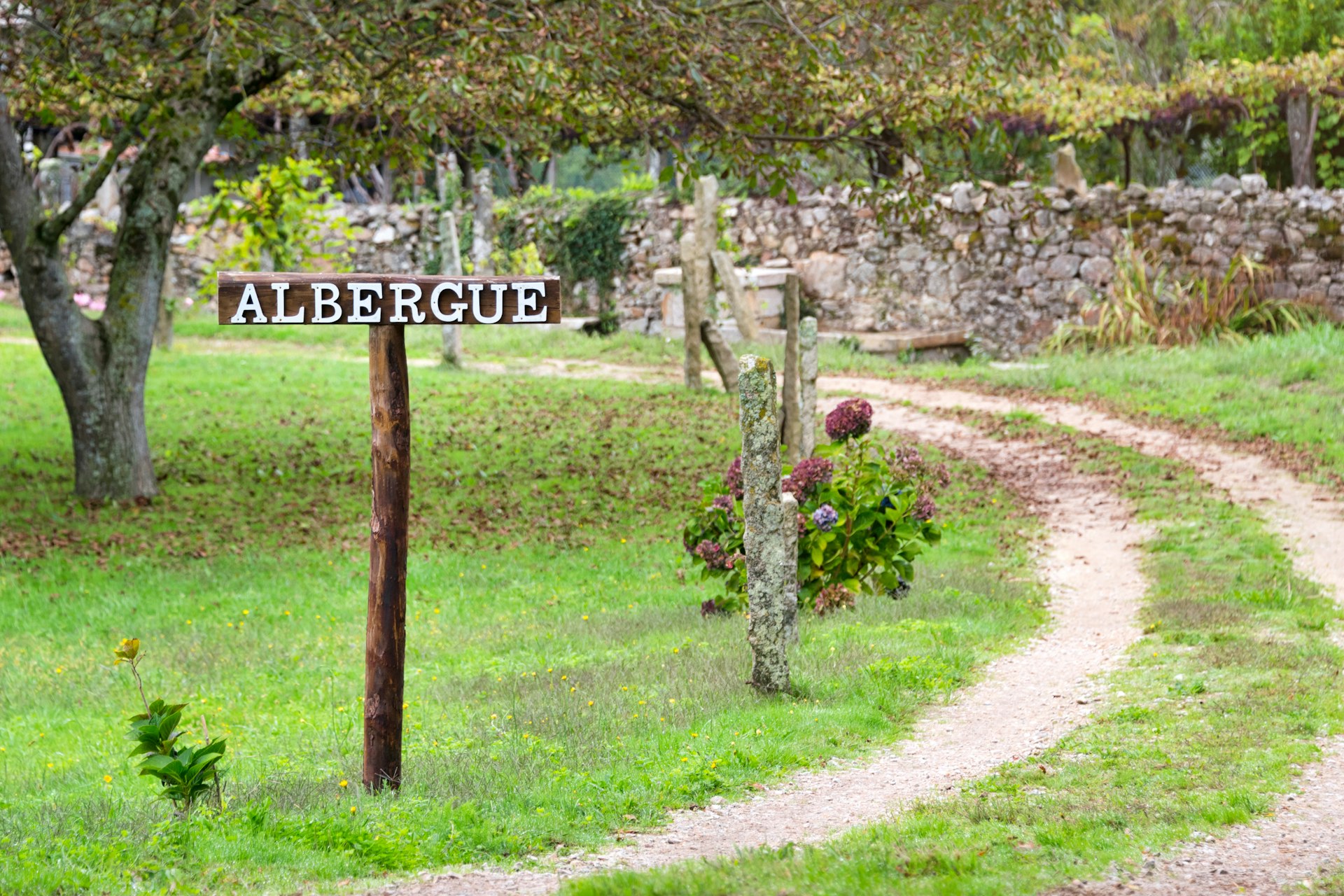 Albergue (hostel) signboard in a garden for pilgrims on the Way of St James, Camino de Santiago, Spain