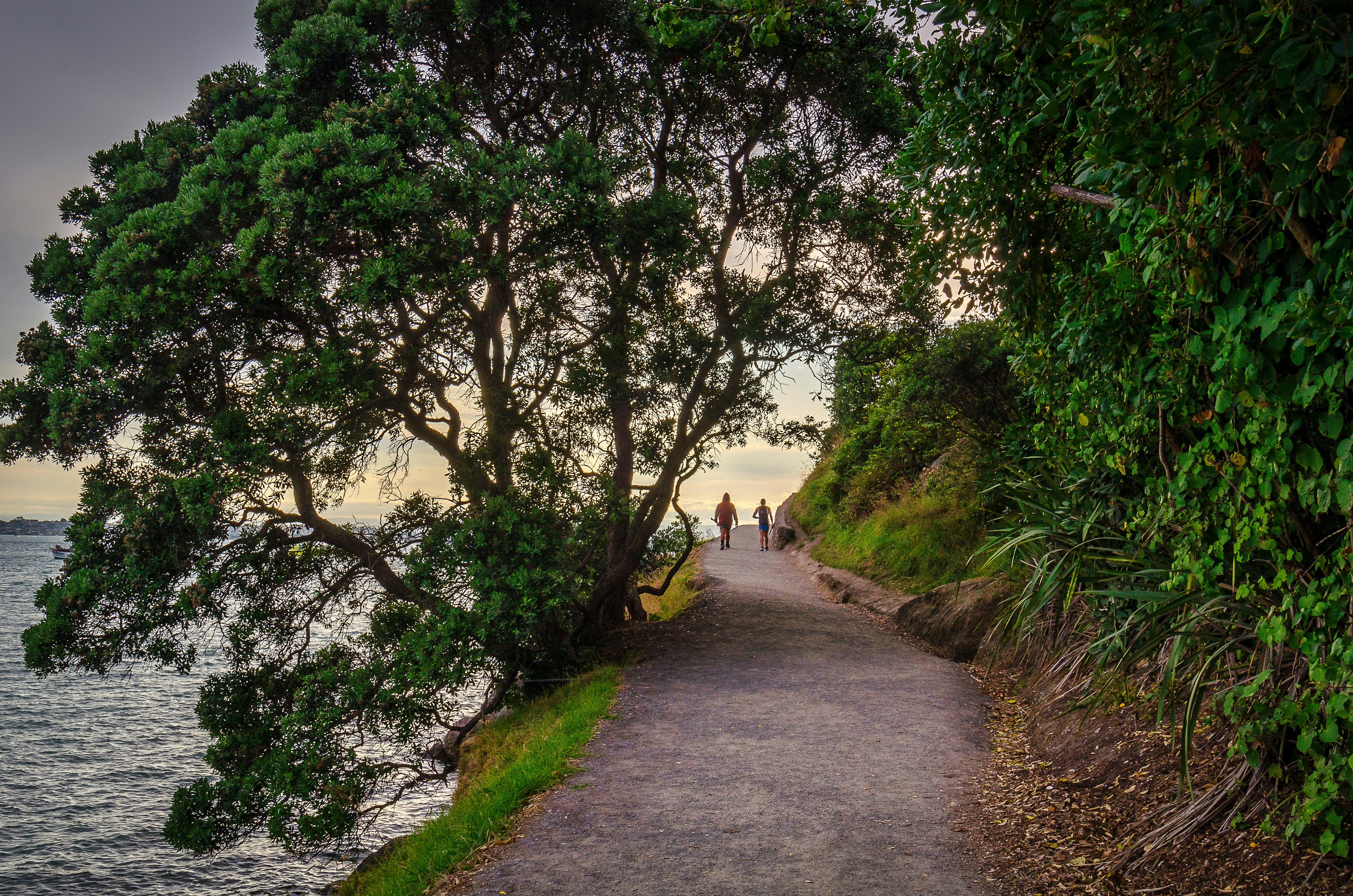 Base track around Mauao, Mt Maunganui, New Zealand.
