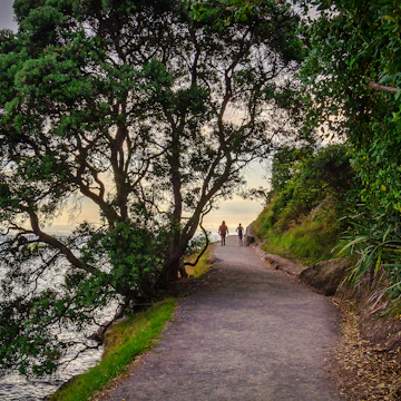 Base track around Mauao, Mt Maunganui, New Zealand.