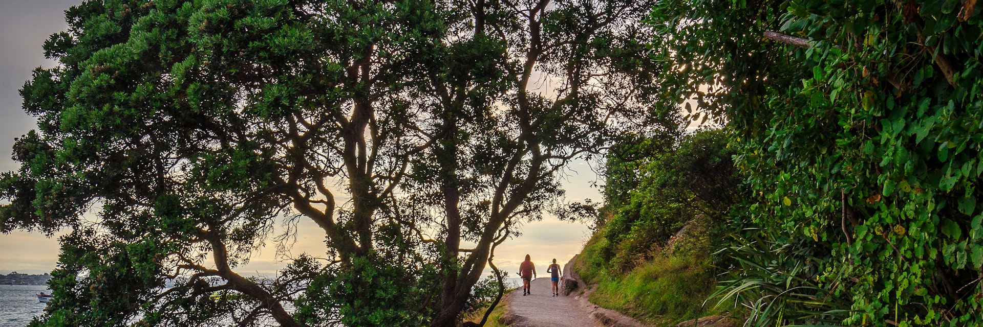 Base track around Mauao, Mt Maunganui, New Zealand.