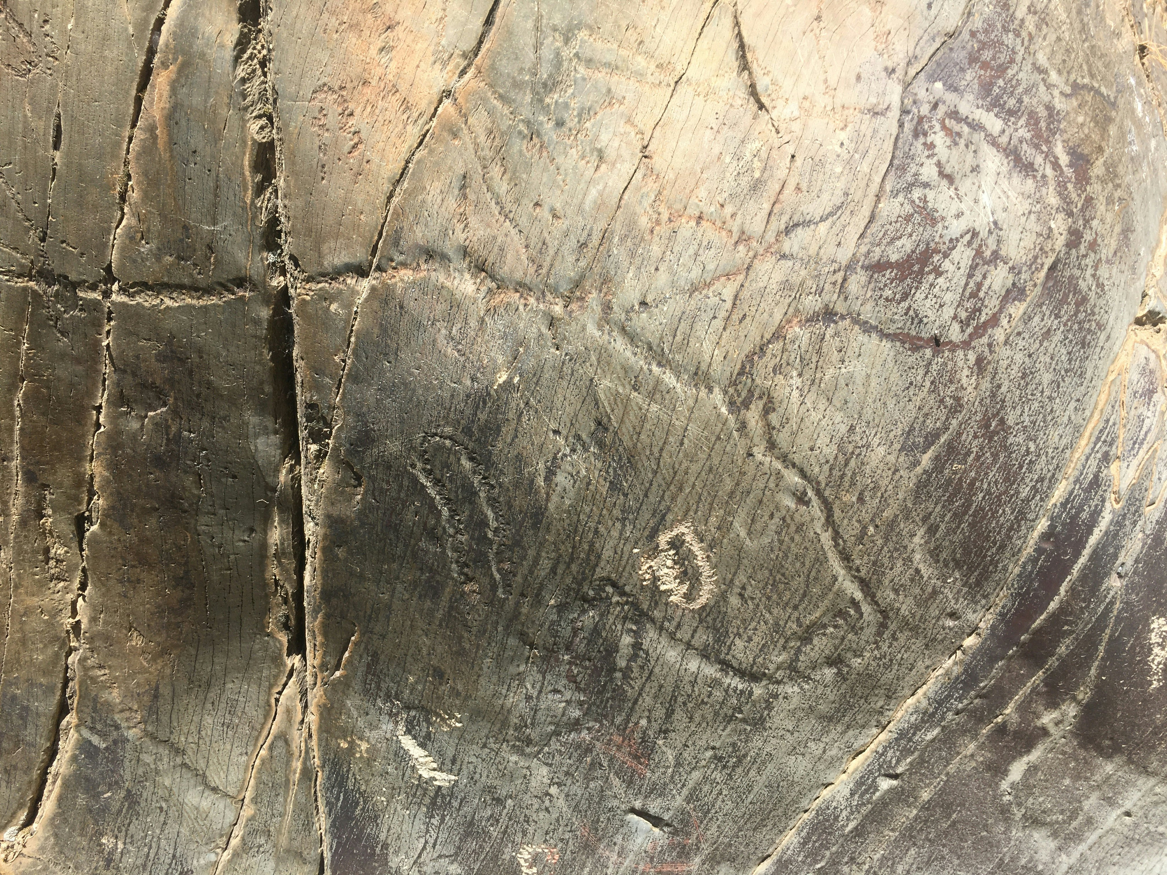 Animal figures in the archaeological zone of Siega Verde.