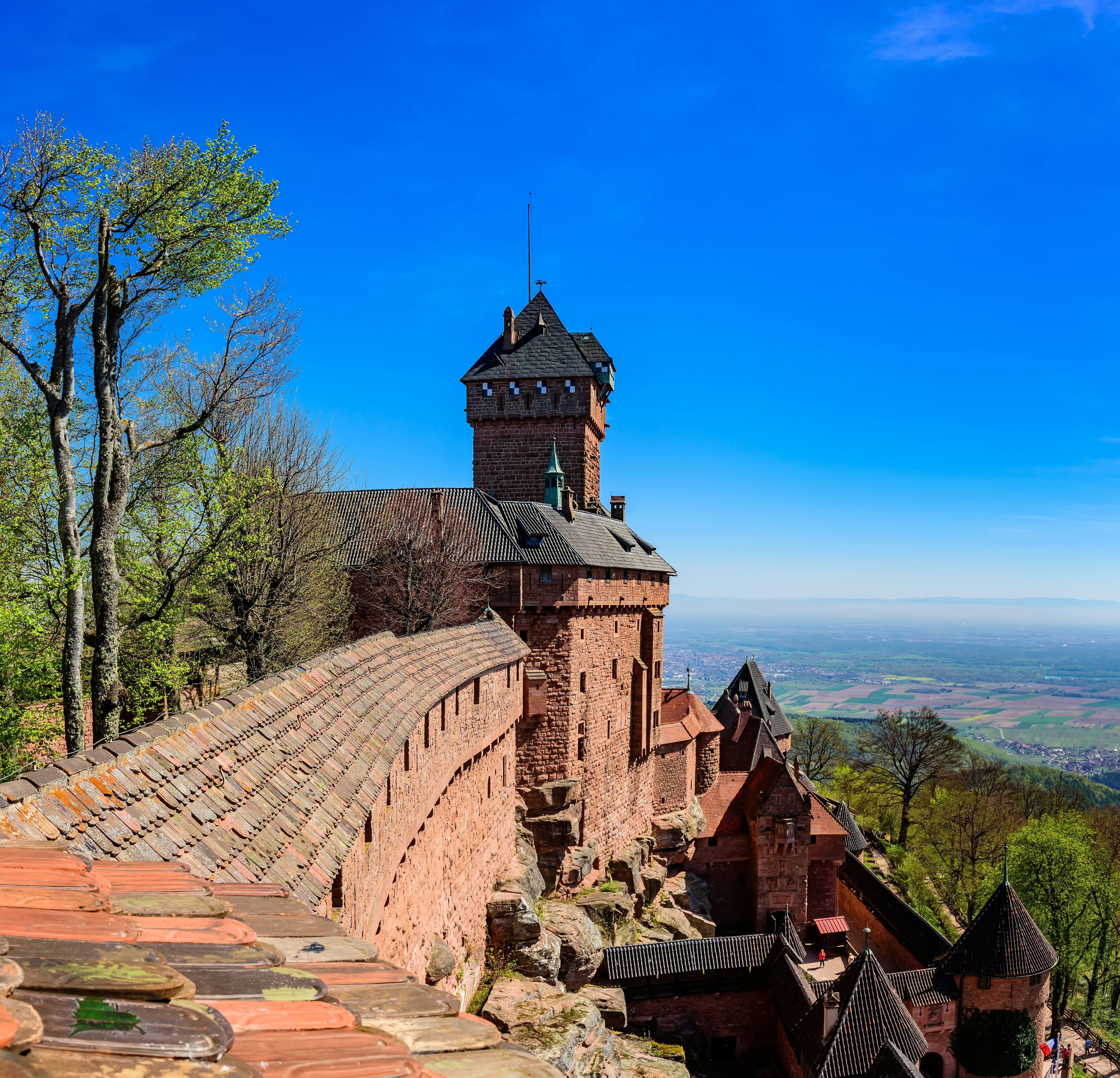 View from the wall of the Haut-Koenigsbourg castle ( Château du Haut-Kœnigsbourg ) over the Alsatian panorama and vineyards up to the Black Forest; Shutterstock ID 1780073546; your: Sloane Tucker; gl: 65050; netsuite: Online Editorial; full: POI
1780073546
