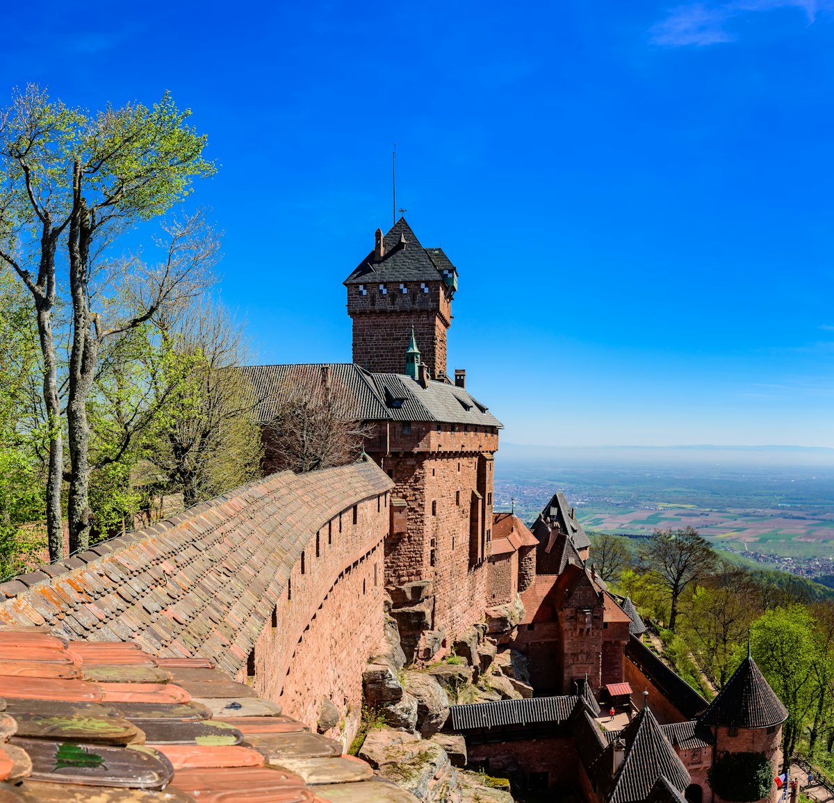View from the wall of the Haut-Koenigsbourg castle ( Château du Haut-Kœnigsbourg ) over the Alsatian panorama and vineyards up to the Black Forest; Shutterstock ID 1780073546; your: Sloane Tucker; gl: 65050; netsuite: Online Editorial; full: POI
1780073546