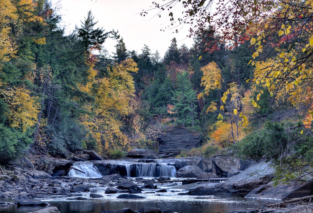Swallow Falls State Park.