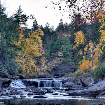 Swallow Falls State Park.