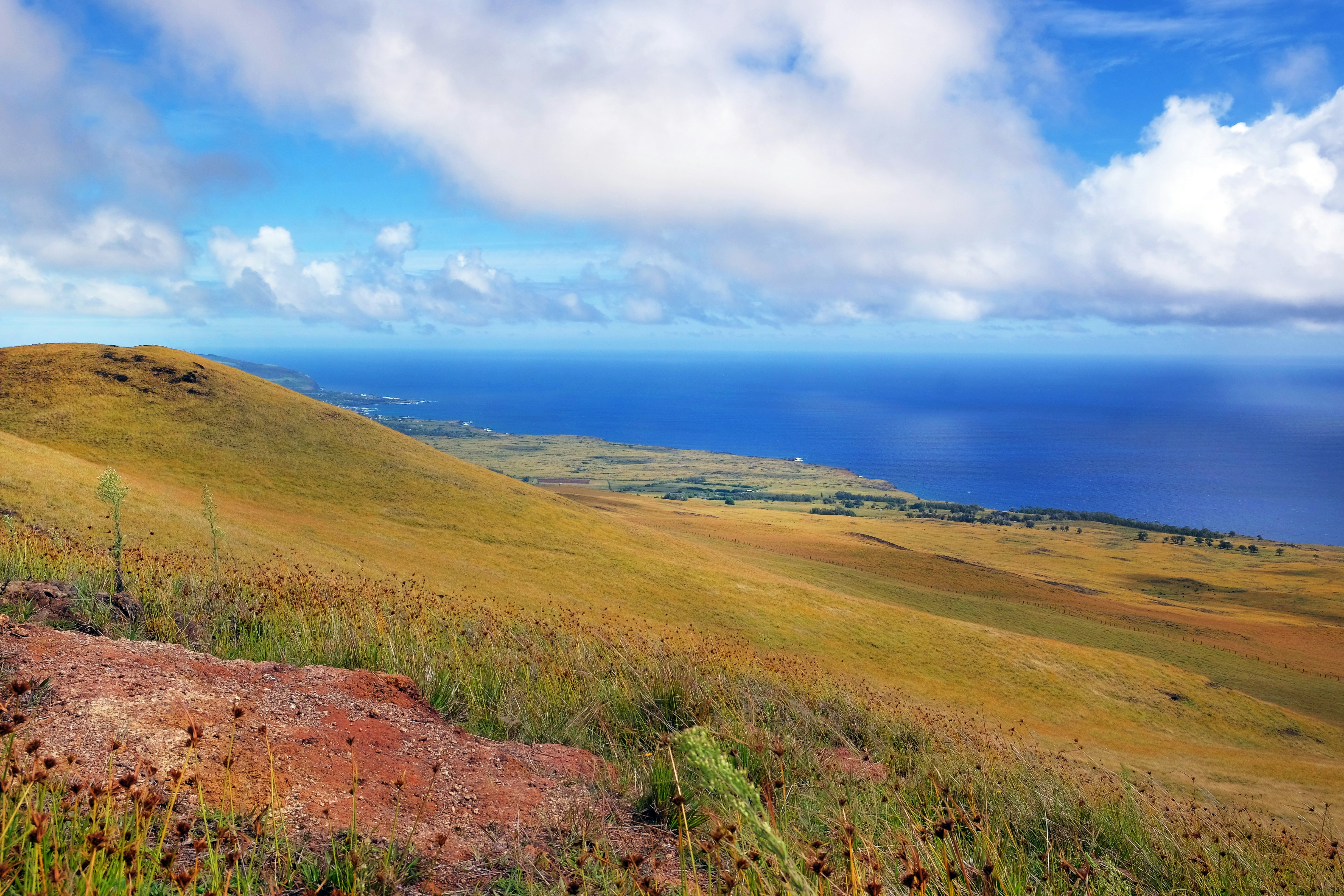 Panoramic view from the slopes of the Terevaka Volcano on Easter Island.