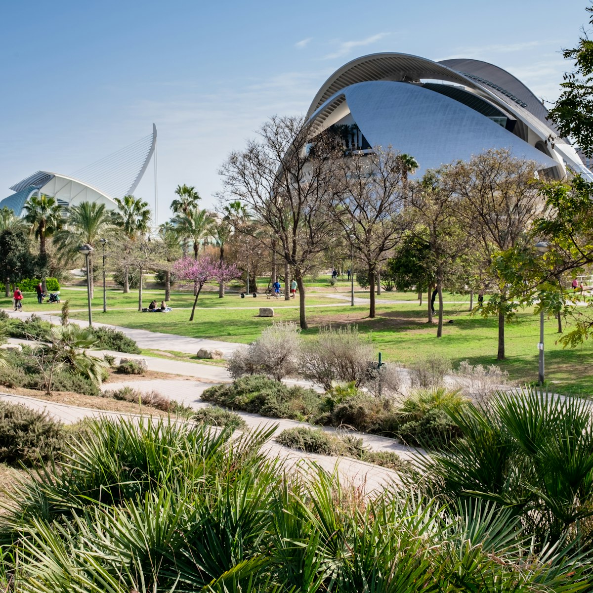 The Jardí del Túria (Túria gardens), a public park with cycle ways, footpaths, sports facilities as well as the futuristic City of Arts and Sciences in the background.