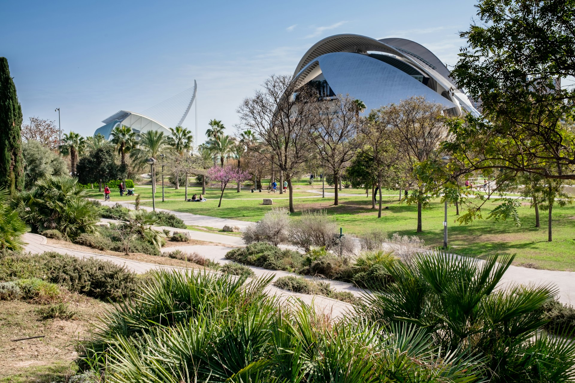 O Jardí del Túria (jardins de Túria), um parque público com ciclovias, caminhos pedonais, instalações desportivas e a futurística Cidade das Artes e das Ciências ao fundo. 