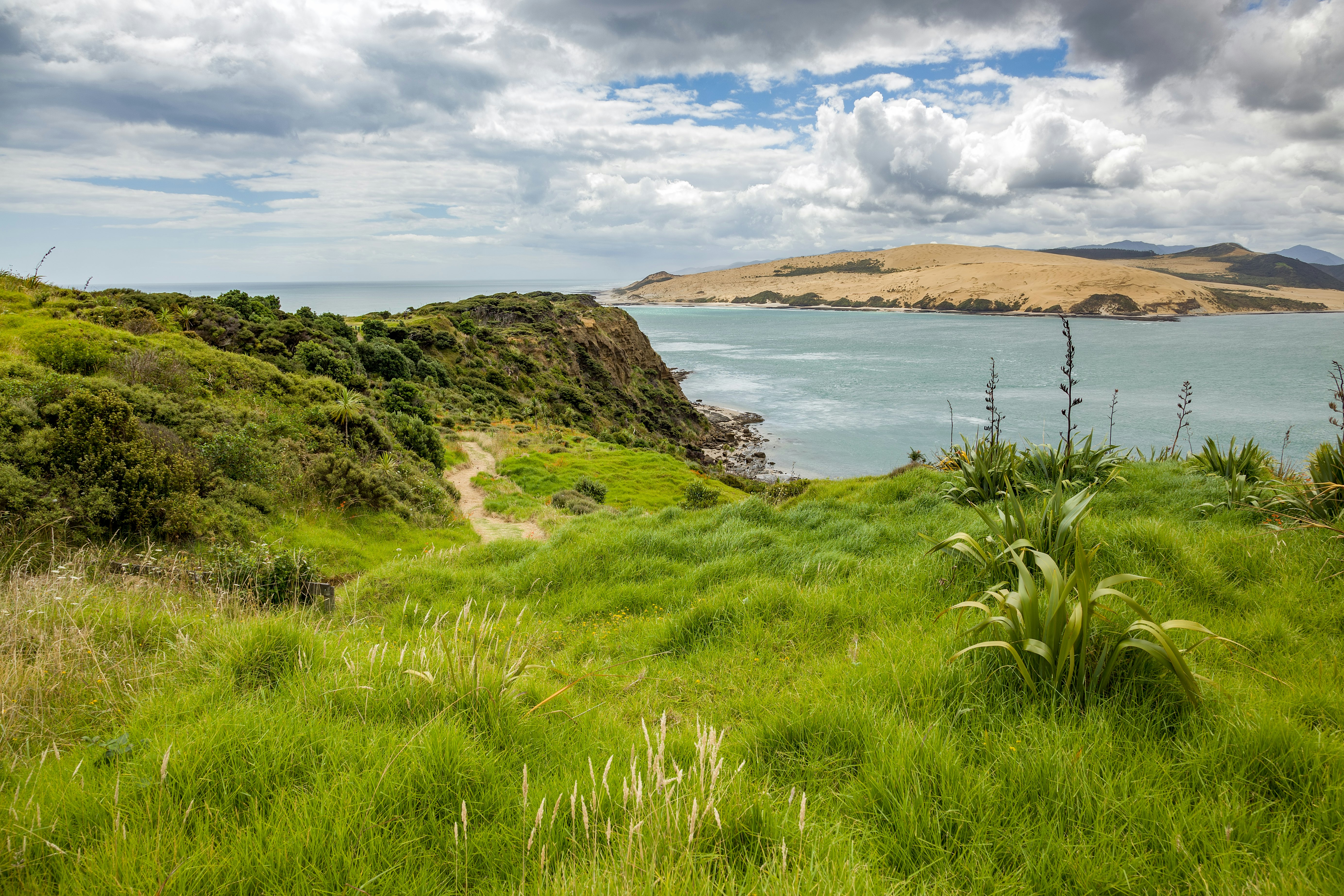 Arai-Te-Uru Recreation Reserve in Omapere, New Zealand.