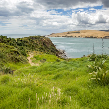 Arai-Te-Uru Recreation Reserve in Omapere, New Zealand.