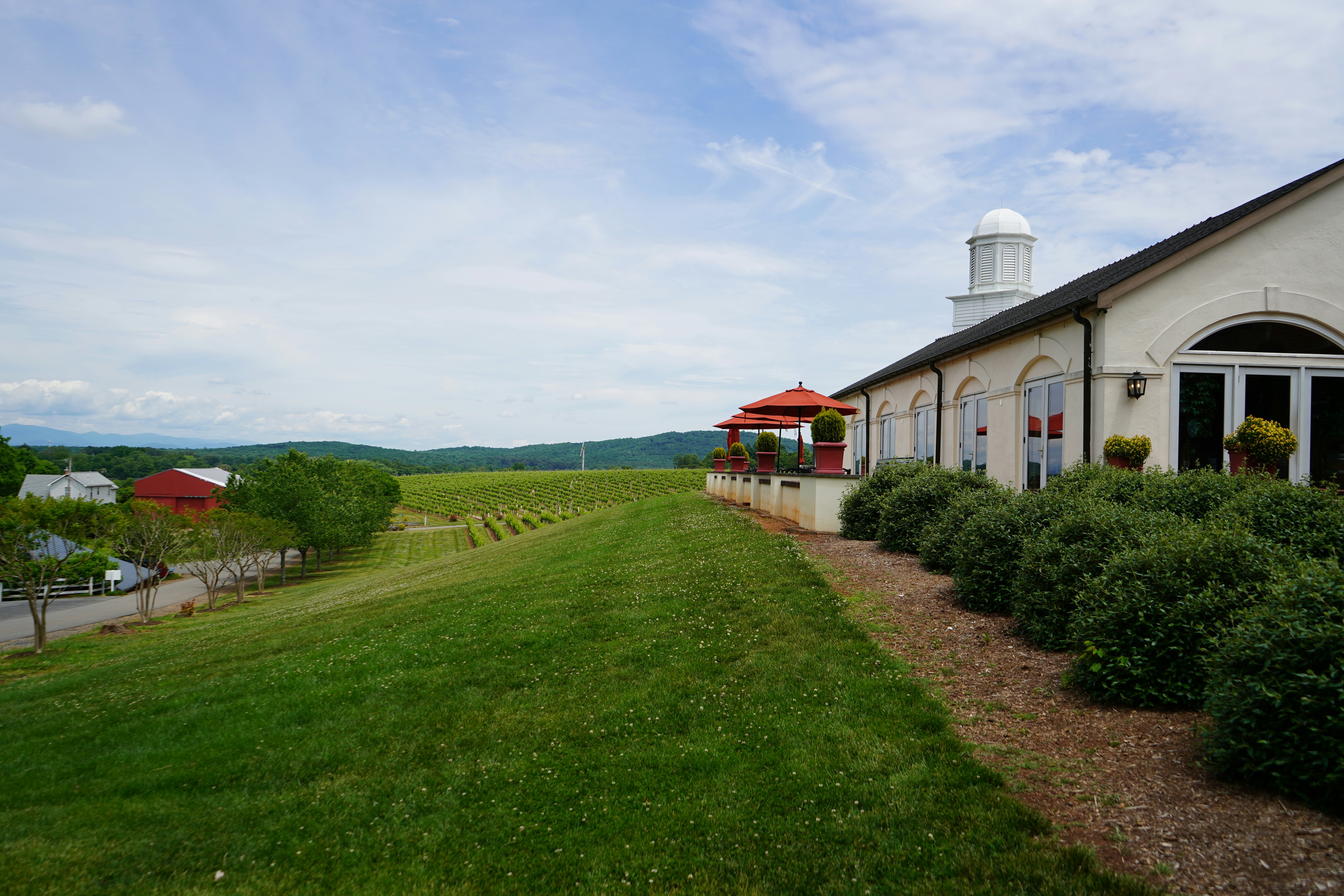 Barboursville Vineyards.