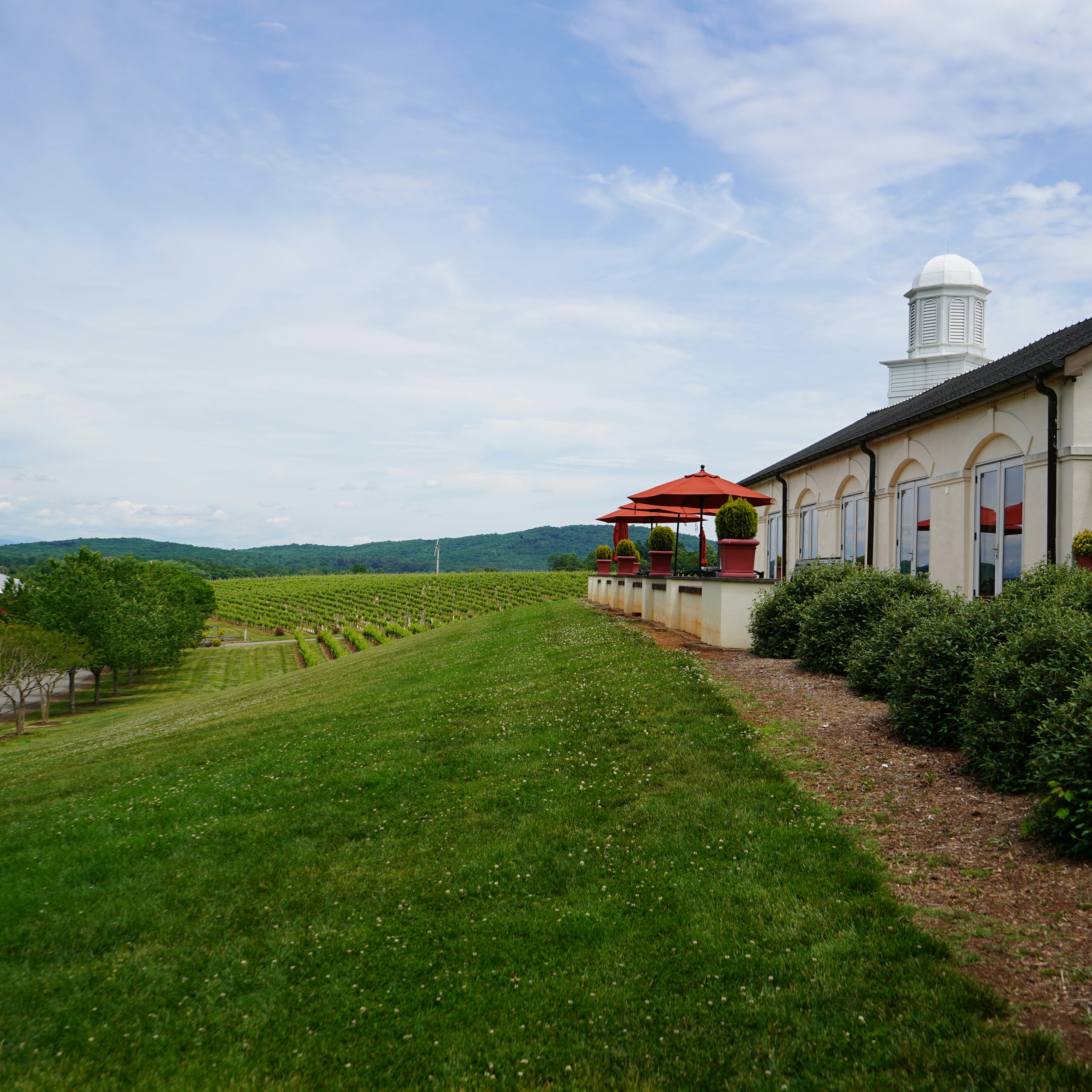 Barboursville Vineyards.