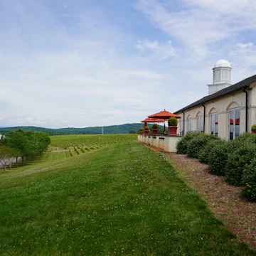 Barboursville Vineyards.