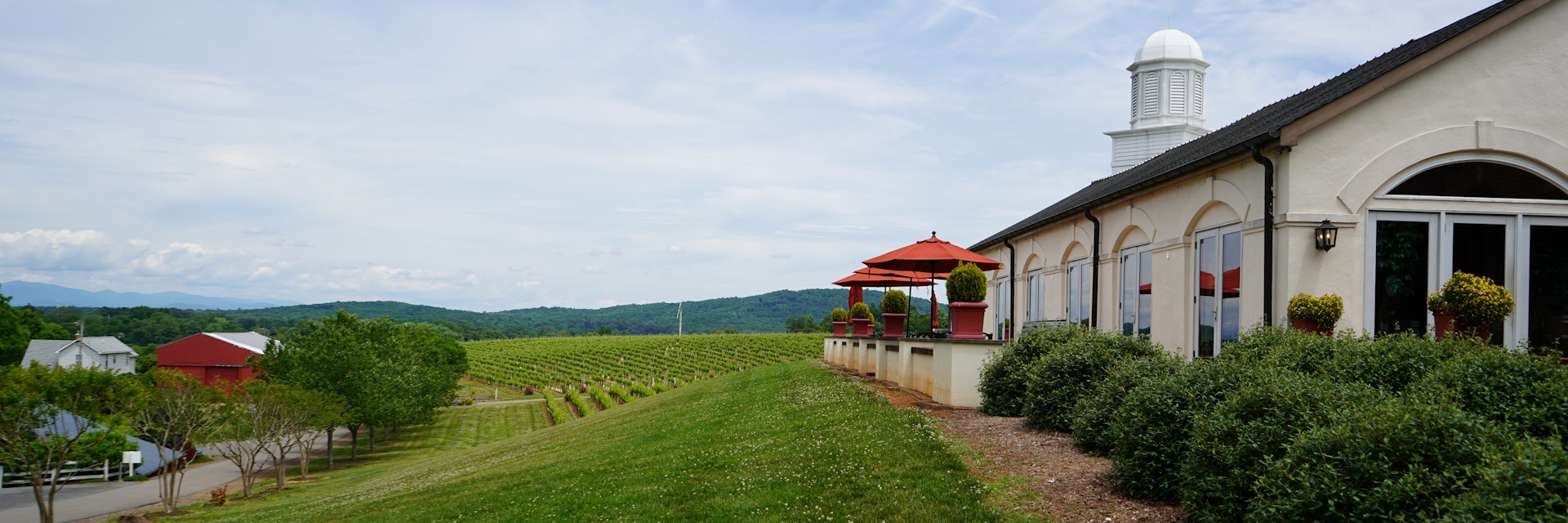 Barboursville Vineyards.