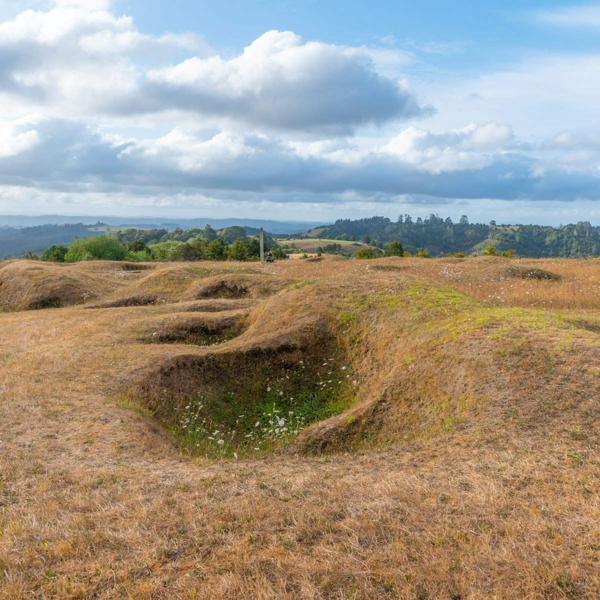 Ruapekapeka Pa - ruins of a maori fortress in New Zealand.
